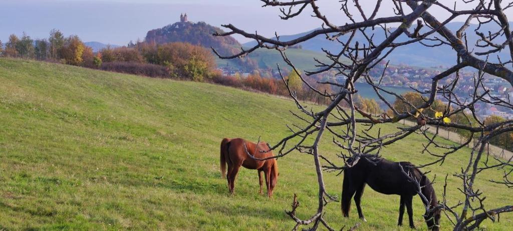 Hotel Barcadam Banska Stiavnica Ngoại thất bức ảnh